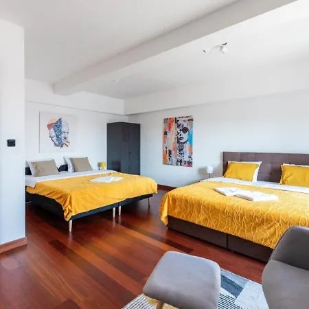 Premium Penthouse With Terrace In Appartement