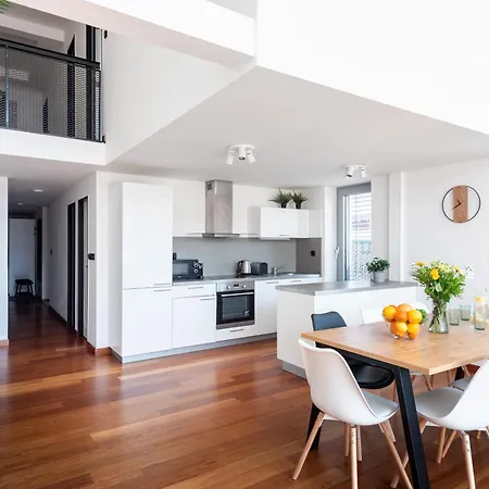 Premium Penthouse With Terrace In Appartement