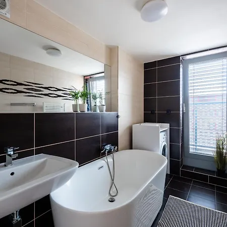 Premium Penthouse With Terrace In Prague